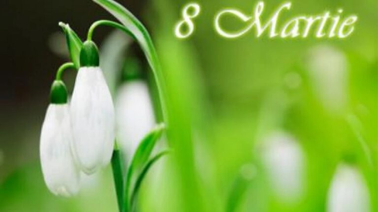 8-10.03 Ce facem weekend-ul acesta in Cluj