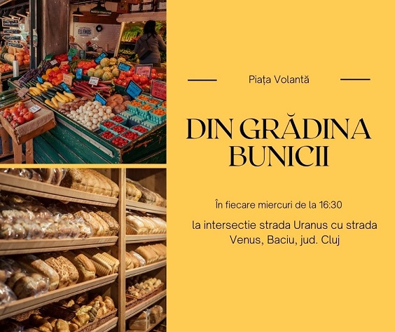 1.05 Piata voanta – Din gradina bunicii