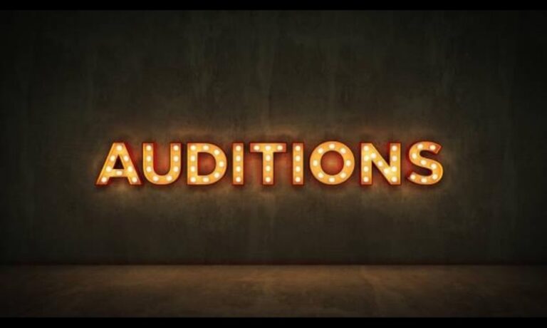 22.05 Spectacol: Auditie