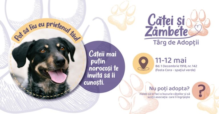 11-12.05 Târg de adopții: Căței și Zâmbete