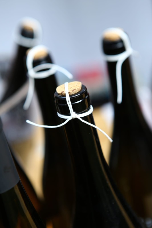 7-9.06 Vino la Hoia