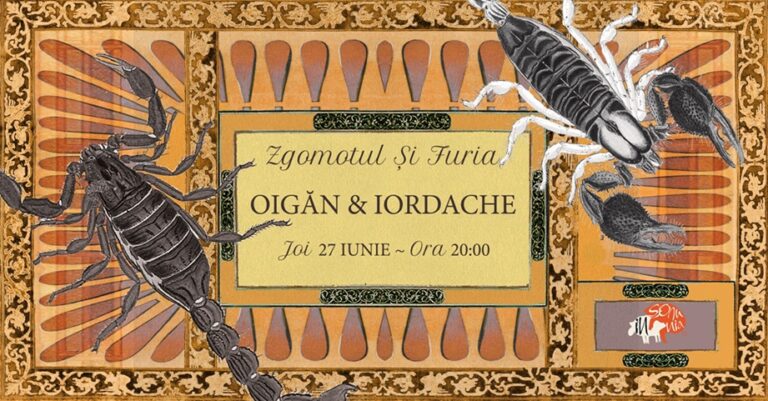 27.06 Proiect experimental: Zgomotul si furia