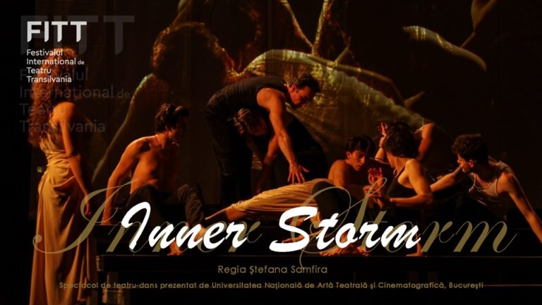 5.10 Spectacol de teatru: Inner storm