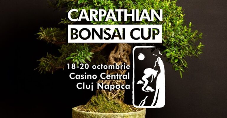 18-20.10 Competie: Carpathian Bonsai Cup
