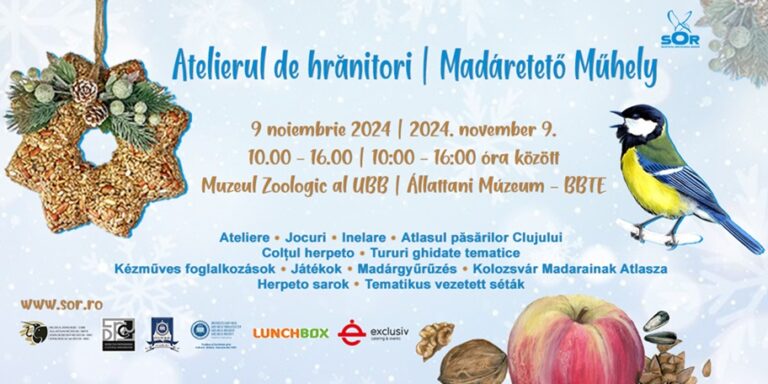9.11 Atelierul de hrănitori