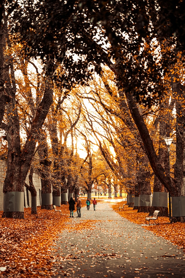22-24.11 Ce facem weekend-ul acesta in Cluj