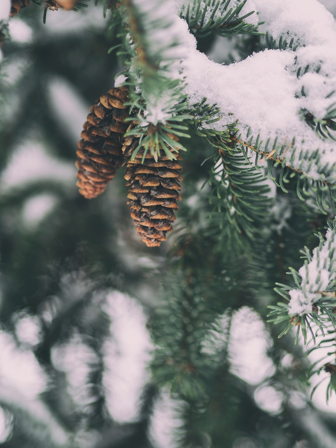 13-15.12 Ce facem weekend-ul acesta in Cluj