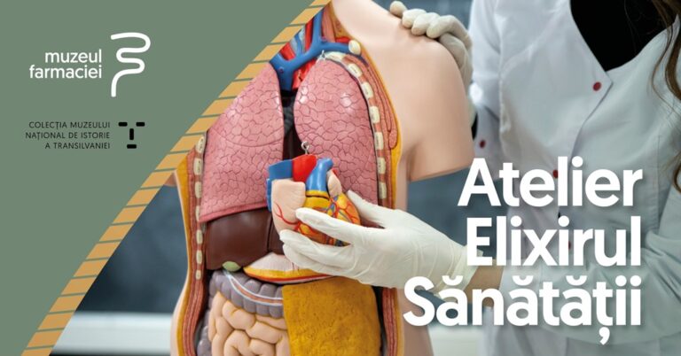 6.03 Atelier: Elixirul Sanatatii