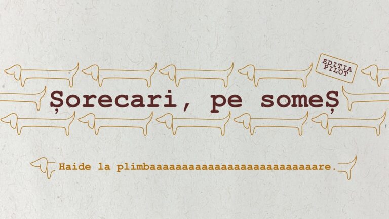 3.04 Șorecari, pe someȘ