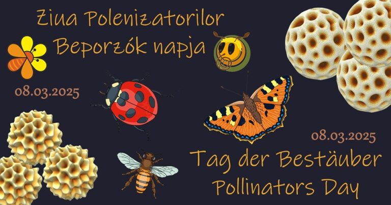 8.03 Ziua Polenizatorilor