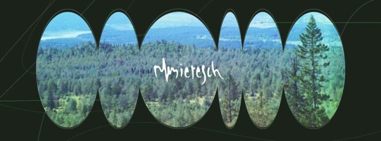 8.05 Concert imersiv de drone-ambiental