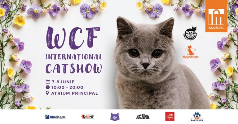7-8.06 Concurs de frumusețe felină:: WCF International Cat Show
