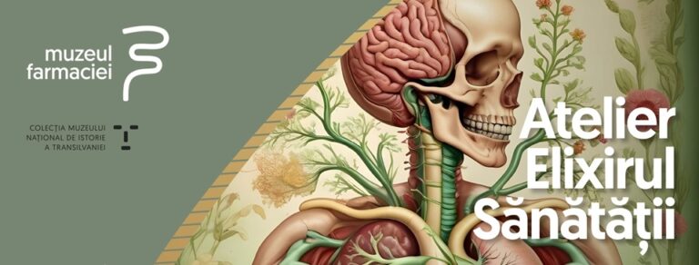 26.06 Atelier: Elixirul Sanatatii