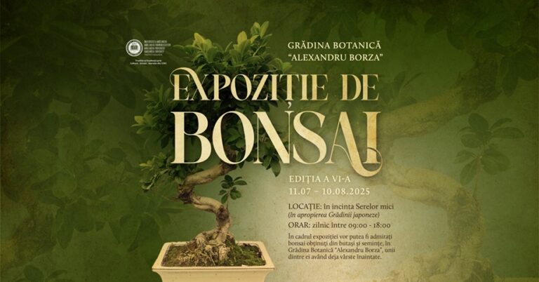 11.07-10.08 Expoziție de Bonsai
