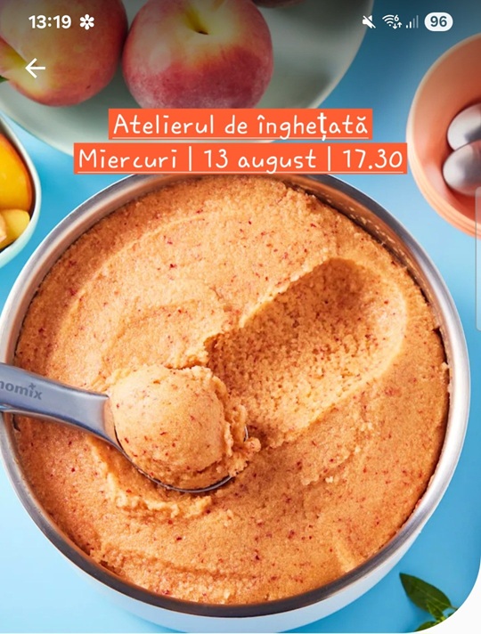 13.08 Atelier de înghețată Thermomix