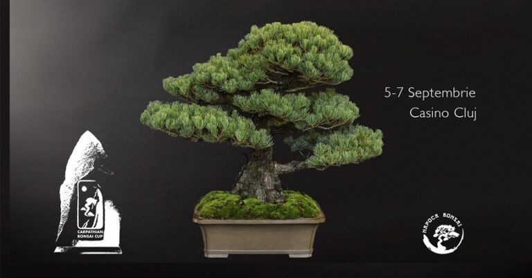 5-7.09 Napoca Bonsai Expo
