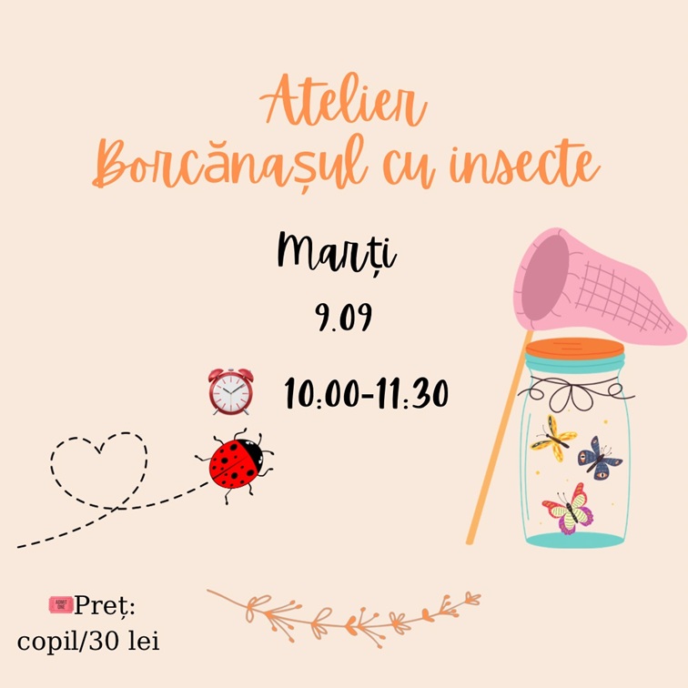 9.09 Atelier: Borcănașul cu insecte