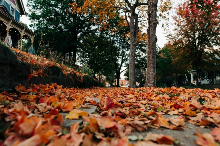 24-26.10 Ce facem weekend-ul acesta in Cluj
