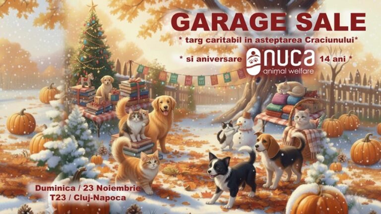 23.11 Targ caritabil: Nuca Garage Sale