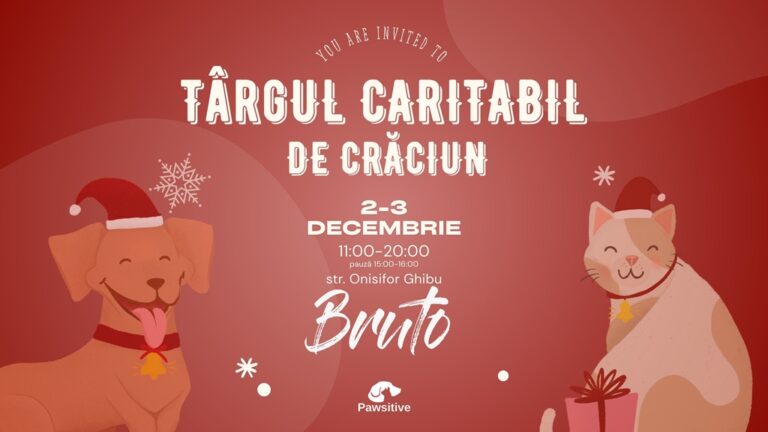 2-3.12 Targ caritabil de Craciun: Pawsitive