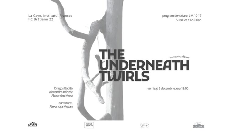13.01 Expozitie: The Underneath Twirls